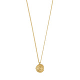 Air Coin Necklace - Gold