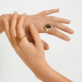 Sense Ring - Gold/Aventurine