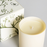 Scented Candle - Monsieur Clement