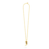 Shark Tooth Pendant Necklace - Watermelon Skin