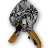 Large Border Mural Scarf - Black/Orange