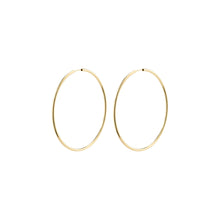 Load image into Gallery viewer, Pilgrim April Large Hoops - Gold
