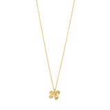 Ajani Necklace - Gold