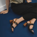 Dansi 8454 Mules - Black