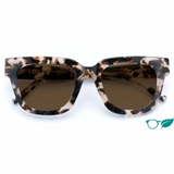 Ferguson Sunglasses - Vanilla Tortoise Brown