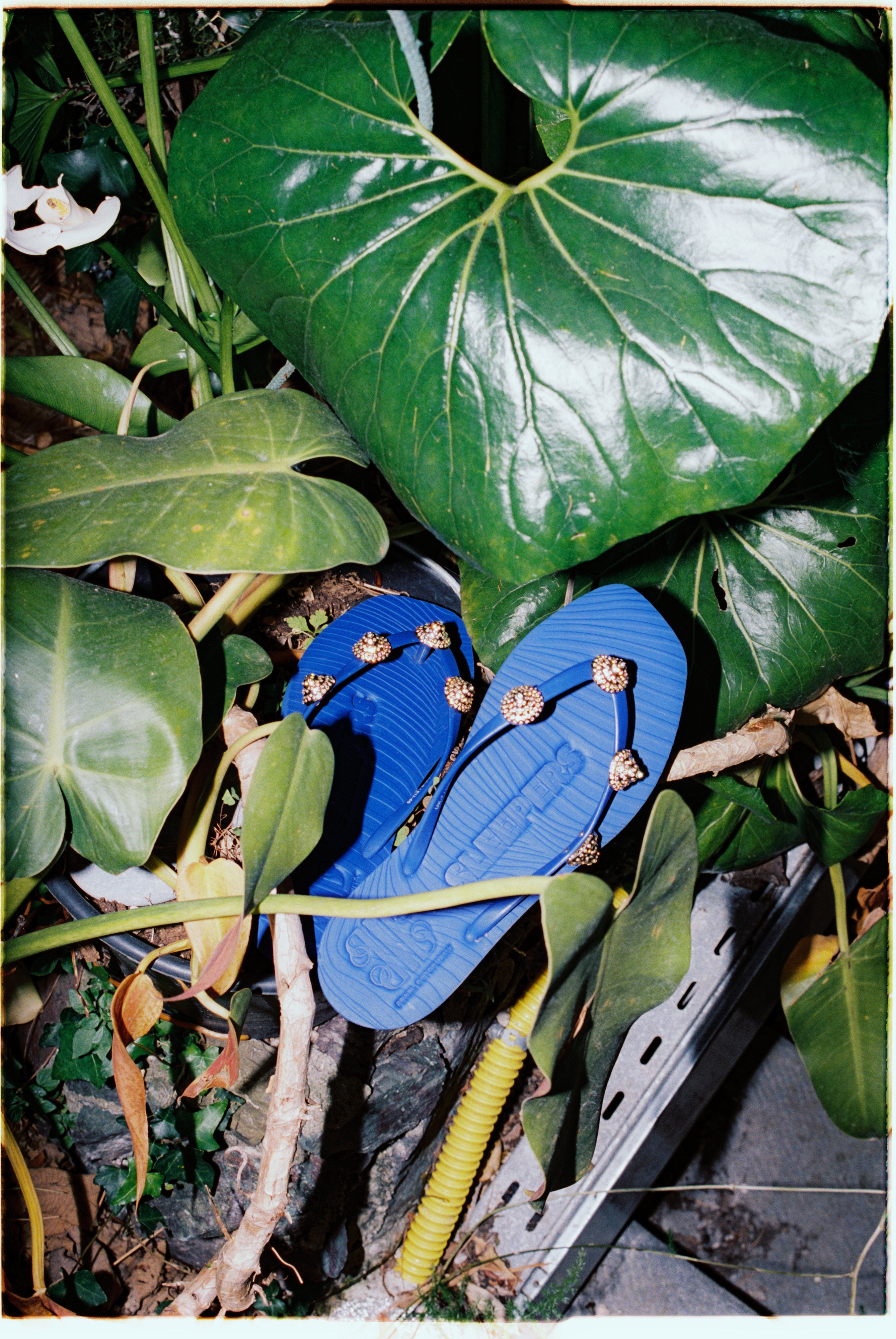 Tapered Pearl Luminous Flip Flop - Blue