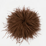 Feather Brooch - Brown