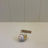 Amphitriti Shell Ring