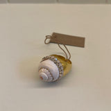 Amphitriti Shell Ring